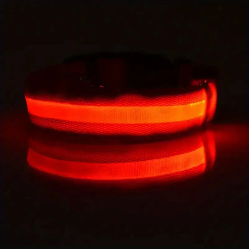 Glow LED Dog Collar – Night Safety for Dogs