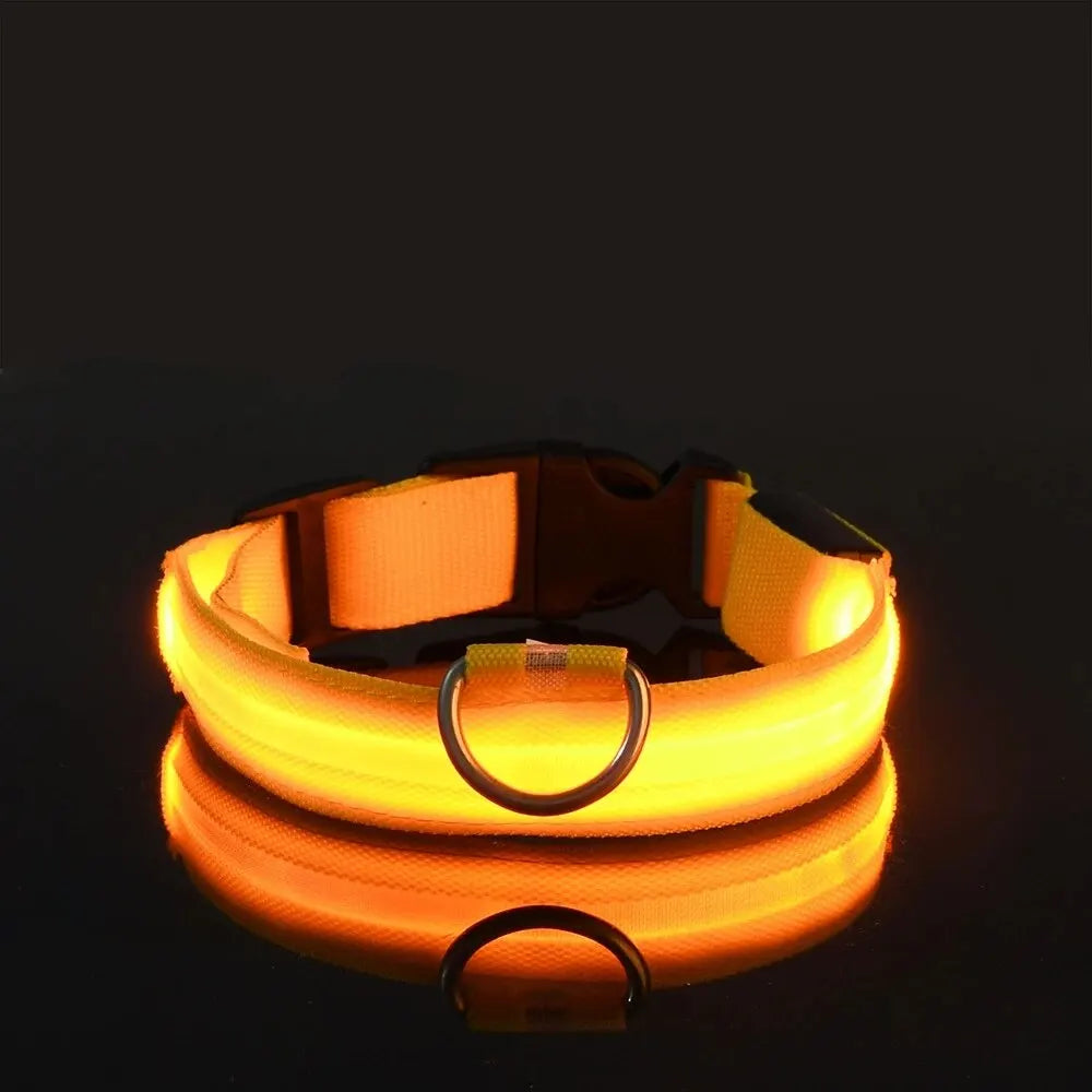 Glow LED Dog Collar – Night Safety for Dogs