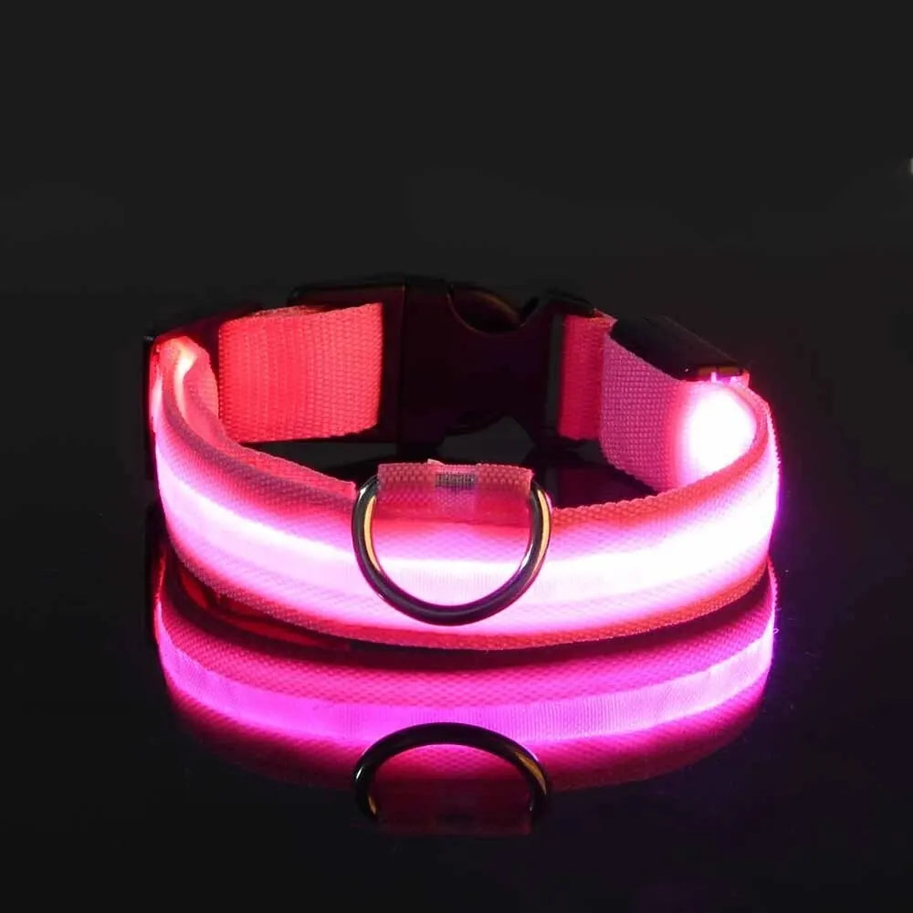 Glow LED Dog Collar – Night Safety for Dogs