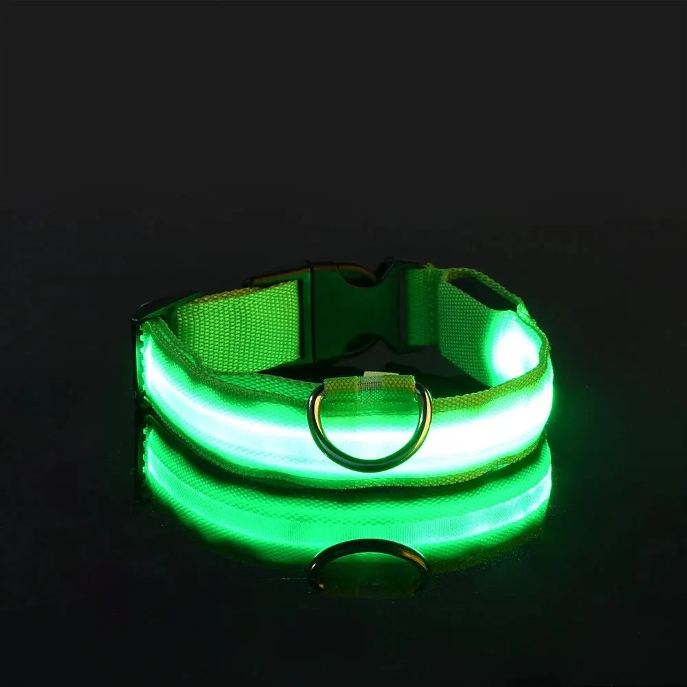 Glow LED Dog Collar – Night Safety for Dogs