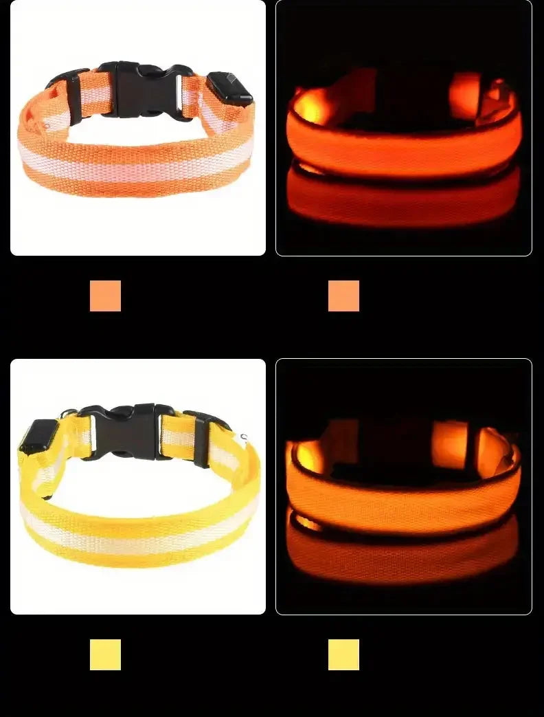 Glow LED Dog Collar – Night Safety for Dogs