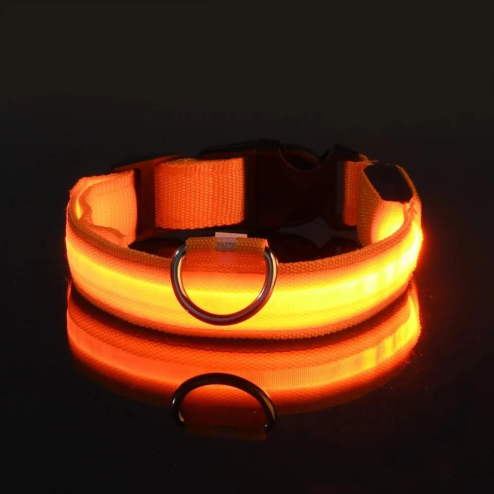 Glow LED Dog Collar – Night Safety for Dogs