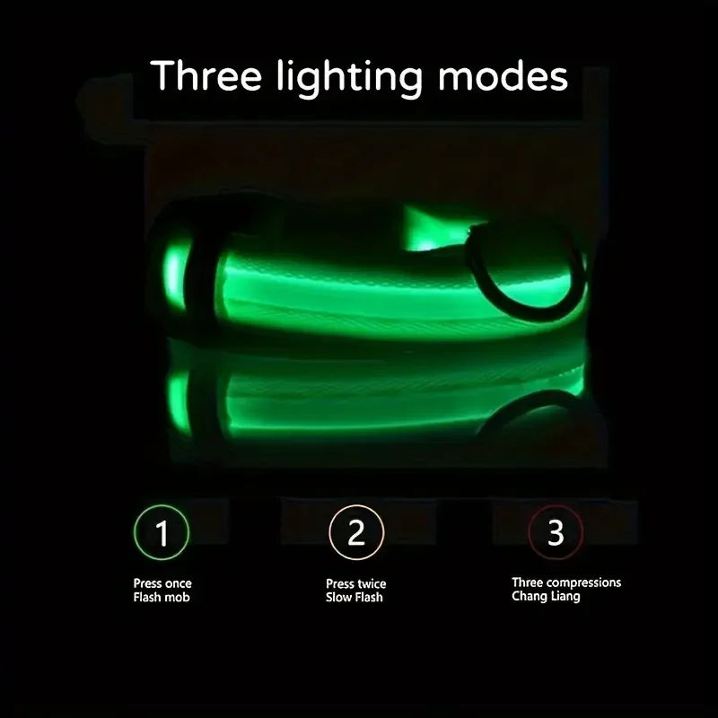 Glow LED Dog Collar – Night Safety for Dogs