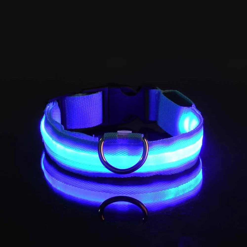 Glow LED Dog Collar – Night Safety for Dogs