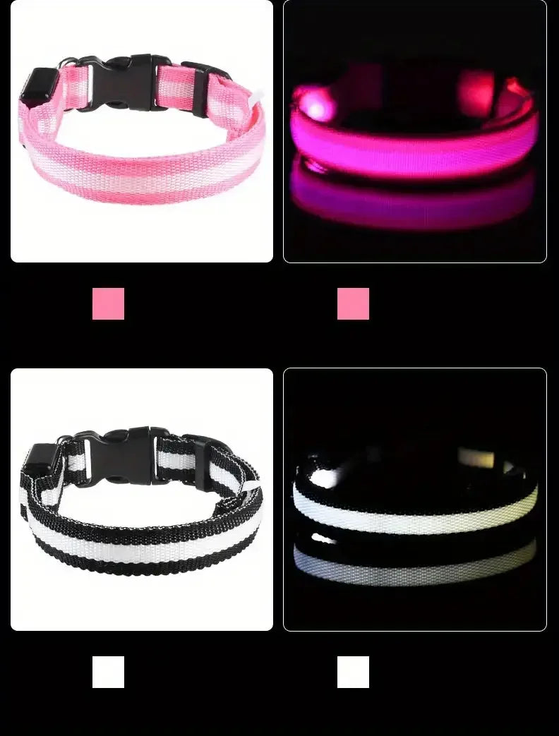 Glow LED Dog Collar – Night Safety for Dogs