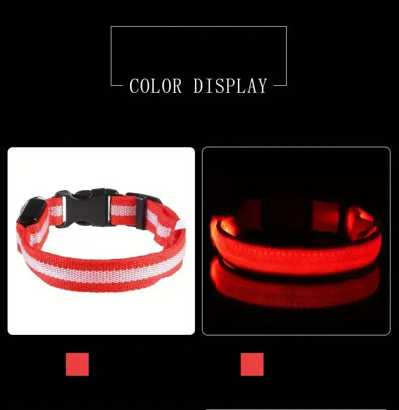 Glow LED Dog Collar – Night Safety for Dogs