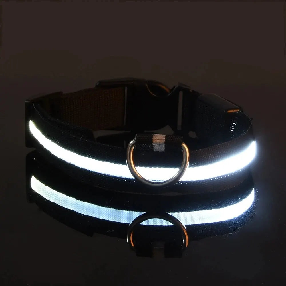 Glow LED Dog Collar – Night Safety for Dogs