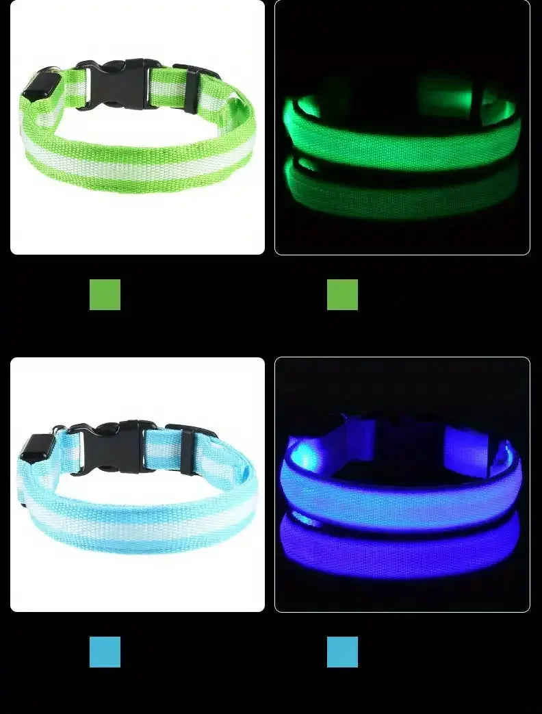 Glow LED Dog Collar – Night Safety for Dogs