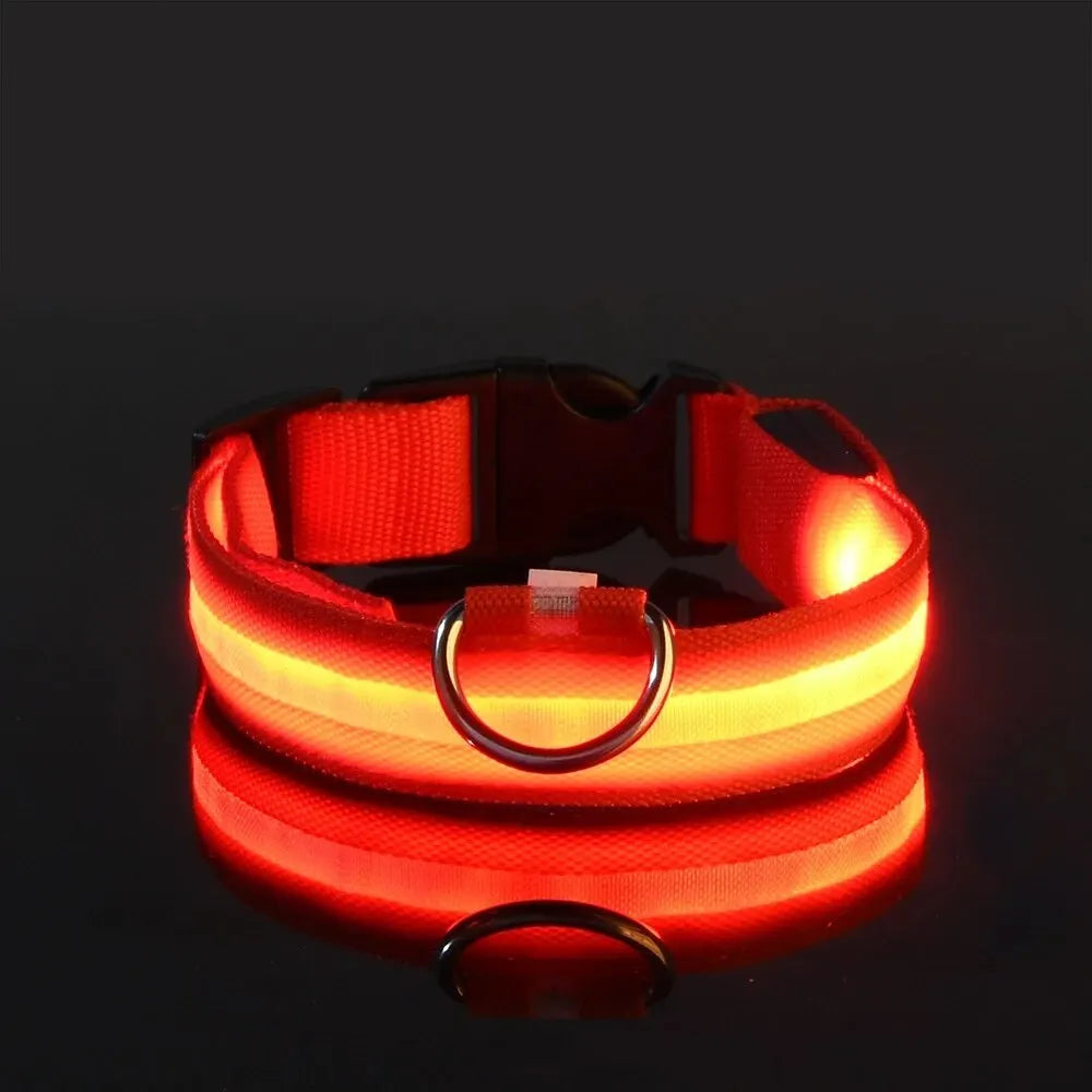 Glow LED Dog Collar – Night Safety for Dogs