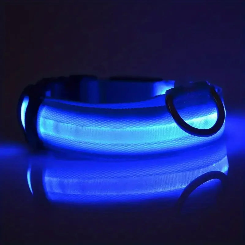 Glow LED Dog Collar – Night Safety for Dogs