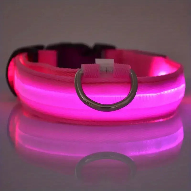 Glow LED Dog Collar – Night Safety for Dogs