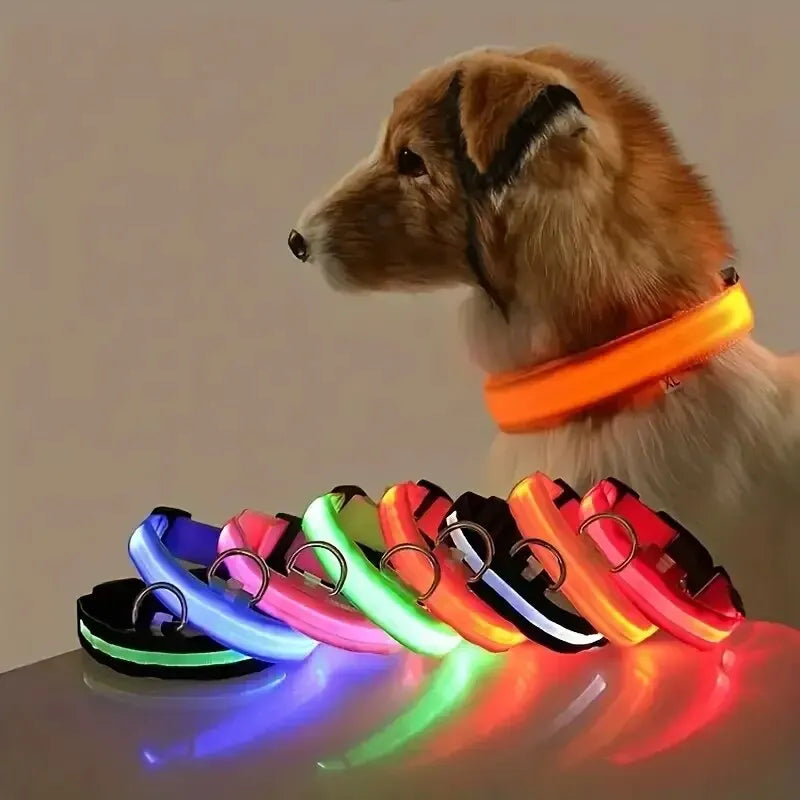 Glow LED Dog Collar – Night Safety for Dogs