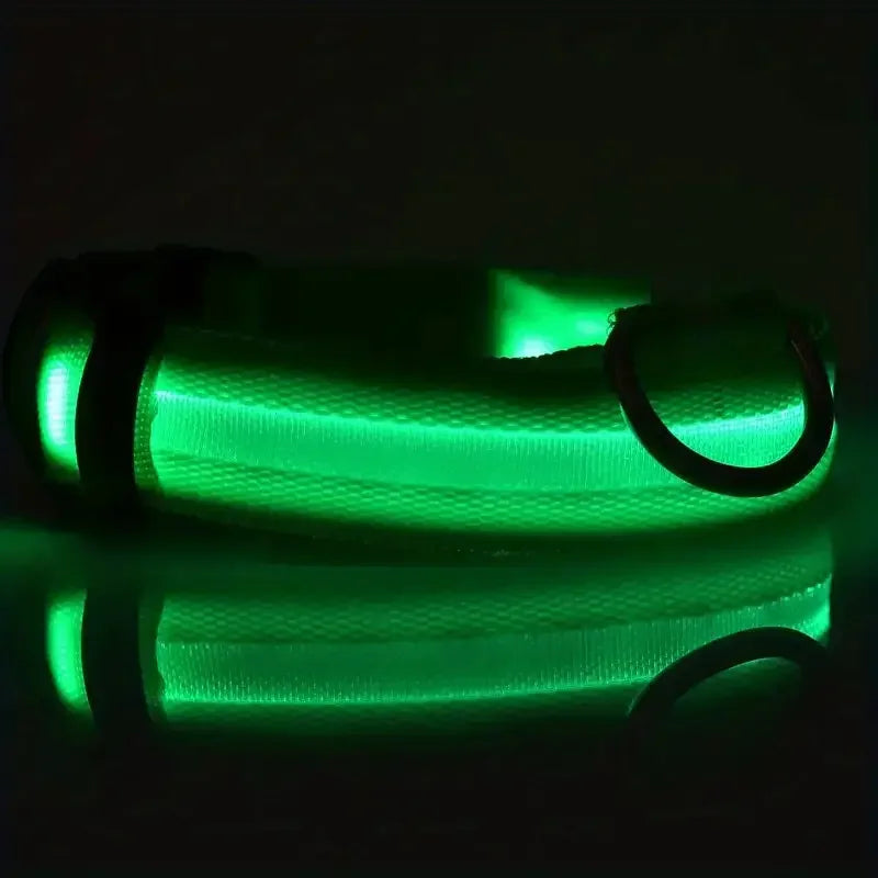 Glow LED Dog Collar – Night Safety for Dogs
