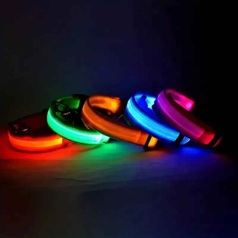 Glow LED Dog Collar – Night Safety for Dogs