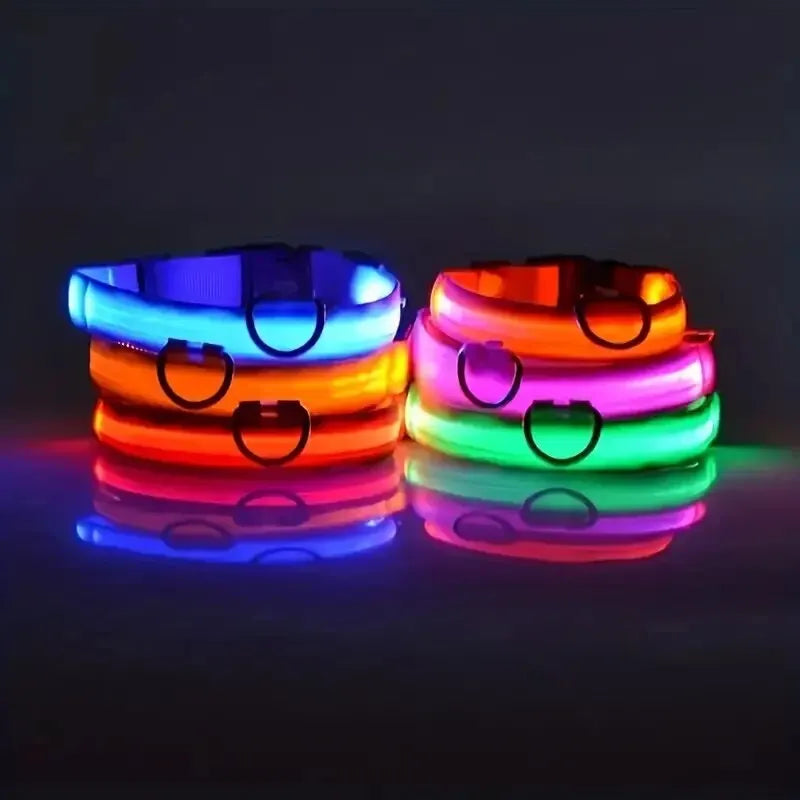 Glow LED Dog Collar – Night Safety for Dogs